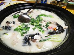 -丁老爷子苏香圆