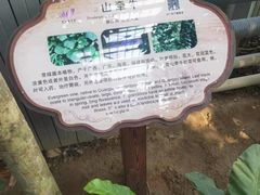 -南山植物园