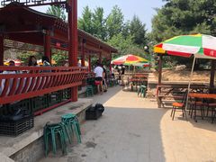 -尚庄度假村·庭台树下·户外烧烤·团建CS·轰趴营地(上庄水库店)
