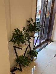 -香秀空间科技抗衰·美容中心