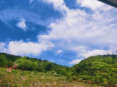 -大围山国家森林公园