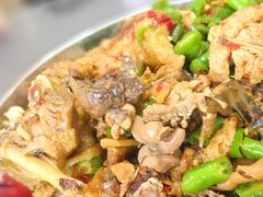 -珠梅土鸡(娄底市娄星区煤炭局东)