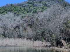 -西湖风景区-江洋畈生态公园