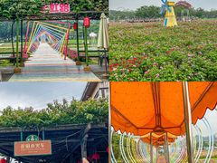 -盈香心动乐园