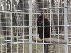 -秦皇岛野生动物园