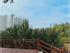 -大亚湾红树林城市湿地公园