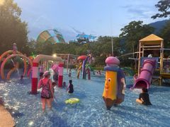 -苏州乐园森林水世界