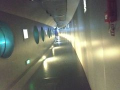 -白鹤梁水下博物馆