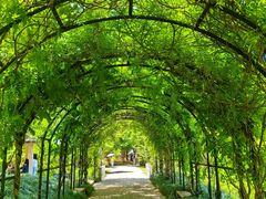 -上海交通大学(闵行校区)