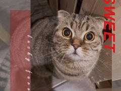 -爱侣宠医·鹦鹉专科·小型哺乳类·异宠专科(灵石路店)