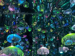 -上海梵高星空艺术馆(南京路旗舰店)