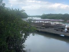 -东寨港红树林旅游区