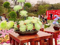 -沈阳植物园