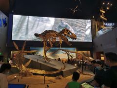 -贝林大翅鲸简餐厅(国家海洋博物馆店)