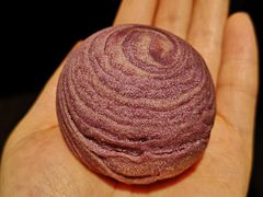 -佳麦烘焙(姚港路店)