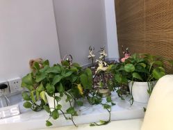 -和颜一美轻医美连锁