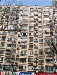 -金太子形象设计