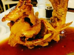 糖醋黄河大鲤鱼-三义和酒楼(千佛山店)