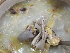 -15年老字号鑫鑫猪肚鸡·椰子鸡海南火锅(兴隆华侨农场店)