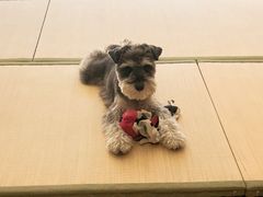-仰生如卉推拿养生馆(酒仙桥店)