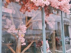 -喵屿·大理花园猫咖