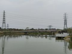 -王借岗森林公园