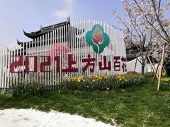 -苏州上方山国家森林公园