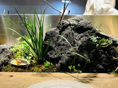 -曲廊院(东四十一条店)