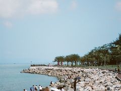 -野狸岛
