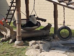 -石家庄市动物园