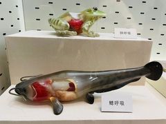 -浙江自然博物院(杭州馆)