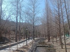 -白水寺森林公园