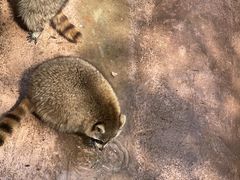 -杭州野生动物世界