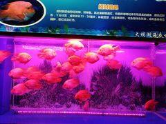 -大明湖海底世界