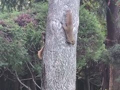 -崇圣寺三塔文化旅游区