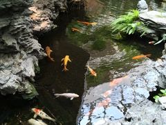 -广州白天鹅宾馆