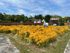 -广东花都香草世界旅游度假区