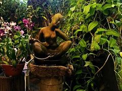 -自然餐厅(Phuket)