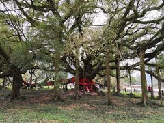 -生态苑农庄(十里画廊遇龙河店)