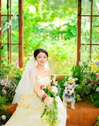 -雪中彩影婚纱摄影·微光艺术中心