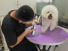 -中农国际动物医院24小时·猫科·骨科·急重症中心
