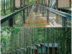 -黄海国家森林公园