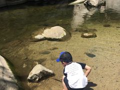 -碓臼峪自然风景区