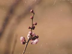 -蜀冈西峰生态公园