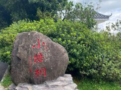 -梧桐山风景名胜区