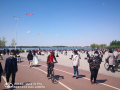 -丁香湖公园