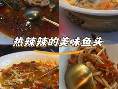 -坛宗剁椒鱼头(河西王府井店)