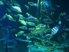 -沈阳海洋探索中心