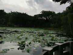 -云溪植物园