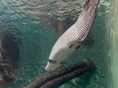 -上海海洋水族馆